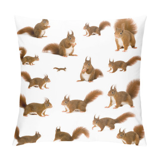 Personality  Eurasian Red Squirrel - Sciurus Vulgaris (2 Years) In Front Of A White Background Pillow Covers