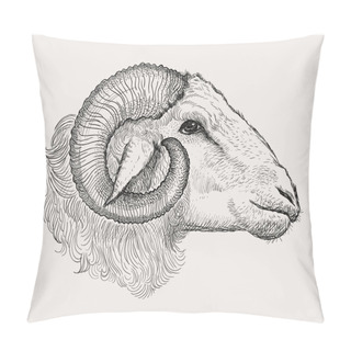 Personality  Ram Head, Graphic Vector Hand Drawn Illustration Pillow Covers