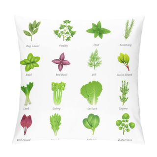 Personality  Herbs Icons Set Pillow Covers