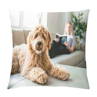 Personality  Woman With His Golden Labradoodle Dog Reading At Home Pillow Covers
