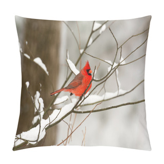 Personality  Male Northern Cardinal Pillow Covers