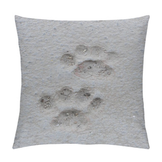 Personality  Cat Paw Prints In Concrete Pillow Covers