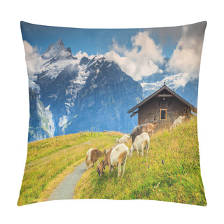 Personality  Goats Grazing On The Alpine Green Field,Grindelwald,Switzerland,Europe Pillow Covers