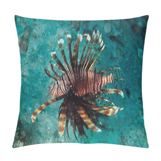 Personality  A Picture Of The Dangerous Lionfish Swimming In The Coral Reef Pillow Covers