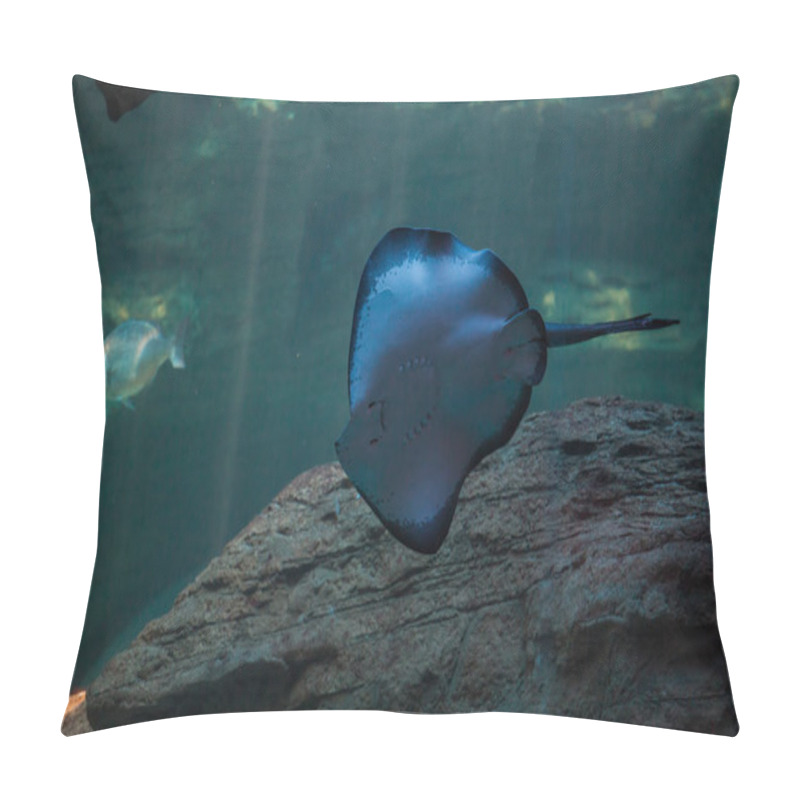 Personality  Stingray swimming in ocean pillow covers