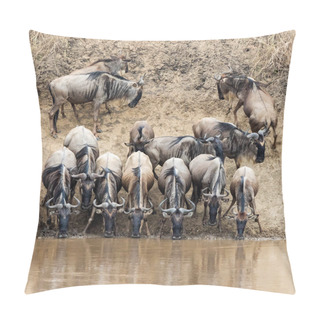 Personality  A Row Of Wildebeest Drink From The Mara River During The Great Migration In The Masai Mara, Kenya Pillow Covers