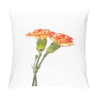 Personality  Spray Carnation Flowers Pillow Covers
