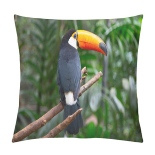 Personality  Colorful Tucan In The Wild Pillow Covers