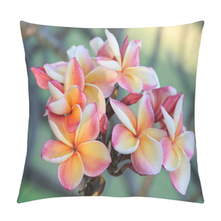 Personality  Flowers Pillow Covers