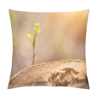 Personality  Plant Growing On Tree Stump Pillow Covers
