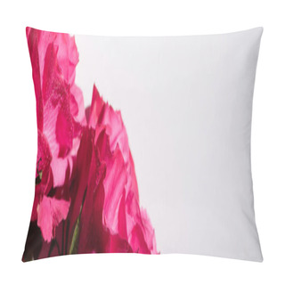 Personality  Close Up View Of Pink Roses With Water Drops Isolated On White, Panoramic Shot Pillow Covers