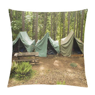 Personality  Tents At Boy Scout Camp Pillow Covers