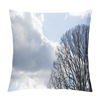 Personality  Oak Pillow Covers