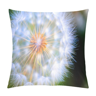Personality  Close-up Large Dandelion Pillow Covers