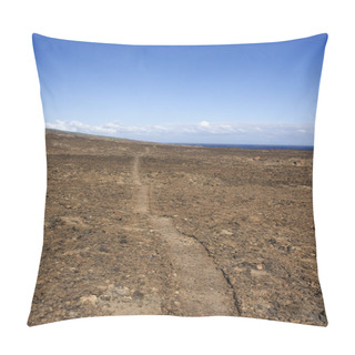 Personality  Pathway Through Rocks. Pillow Covers