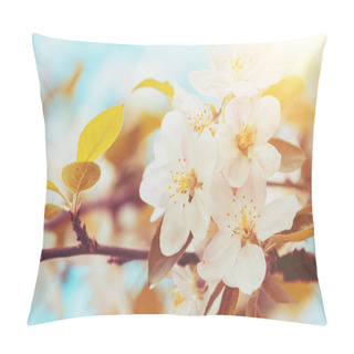 Personality  Blossoming Apple Orchard. Spring Nature Background. Branches With Flowering Apple Flowers Pillow Covers