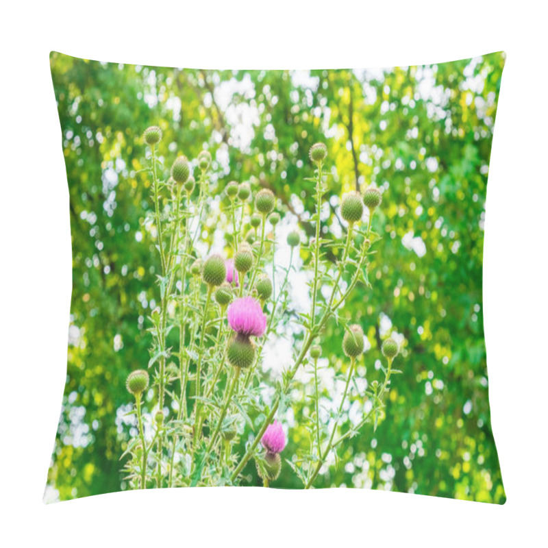 Personality  the sun shines through the plants of luscious greenery with flowers with thorns background image pillow covers