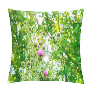 Personality  The Sun Shines Through The Plants Of Luscious Greenery With Flowers With Thorns Background Image Pillow Covers