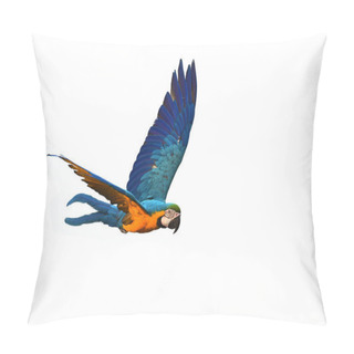 Personality  Blue And Gold Macaw Pillow Covers