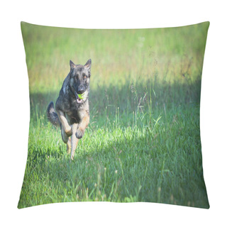 Personality  German Shepherd Dog Running At Camera With Tennis Ball Pillow Covers