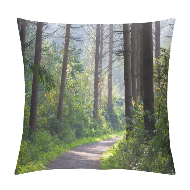 Personality  Forest landscape with sunlight through the trees pillow covers