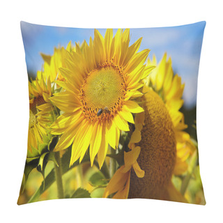 Personality  Sunflower Field. Pillow Covers