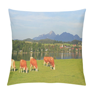 Personality  Meadow With Grazing Cows, Idyllic Scenery Riegsee, Bavaria Pillow Covers