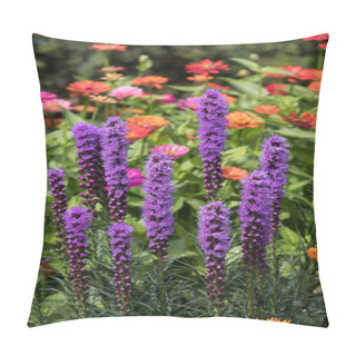 Personality  Liatris Spicata Flowers In The Summer Garden Pillow Covers