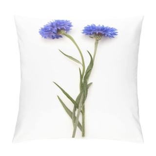 Personality  Blue Cornflower Herb Pillow Covers