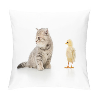 Personality  Adorable Little Chick And Cute Furry Kitten Isolated On White Pillow Covers