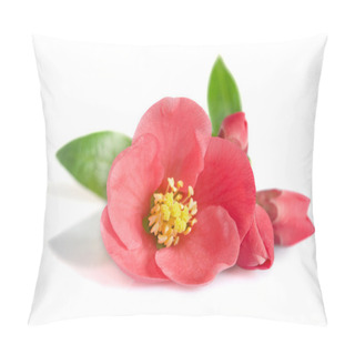 Personality  Beautiful Pink Flower On White Background Pillow Covers