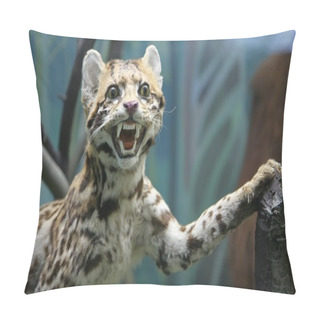 Personality  Wild Cat Pillow Covers
