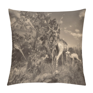 Personality  Wildlife Scene Pillow Covers