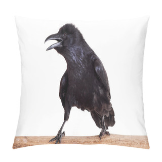 Personality  Common Raven Isolated On White Pillow Covers