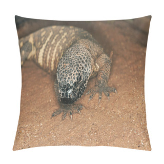 Personality  Beaded Lizard, Heloderma Horridum, A Venomous Specy     Pillow Covers