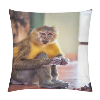 Personality  Capuchin Monkey Pillow Covers
