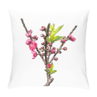 Personality  Pink Blossoms On White Pillow Covers