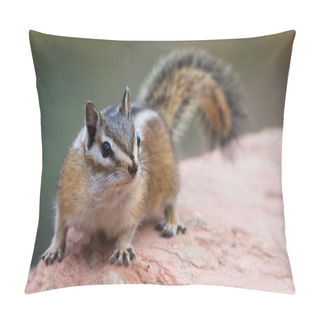 Personality  Chipmunk On A Rock  Pillow Covers