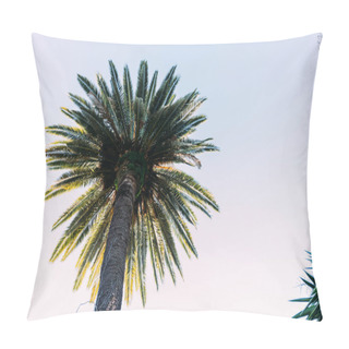 Personality  Straight Tall Palm Tree On Blue Sky Background, Barcelona, Spain Pillow Covers