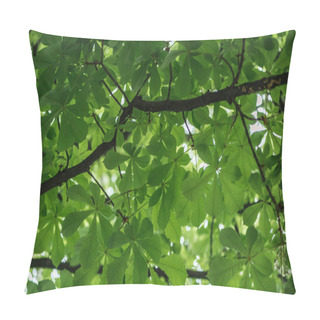 Personality  Bottom View Of Chestnut Tree With Green Leaves On Branches  Pillow Covers