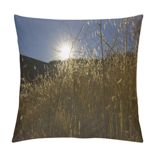 Personality  Dawn Sun Illuminating The Trees Pillow Covers