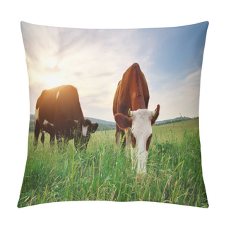 Personality  Cow In Meadow. Pillow Covers