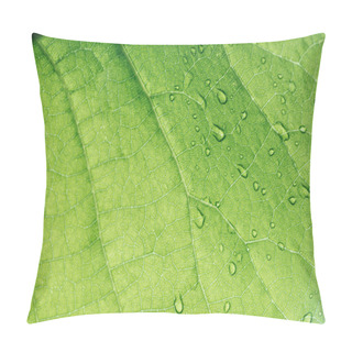 Personality  Macro Texture Of Green Leaf With Water Drops  Pillow Covers