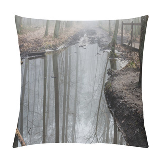 Personality  Forest Reflection In Water  Pillow Covers