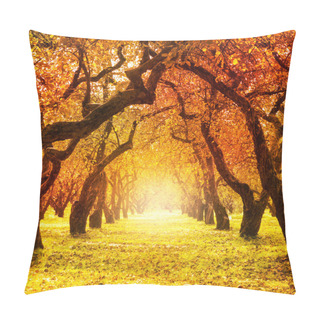 Personality  Autumn. Fall. Autumnal Park Pillow Covers