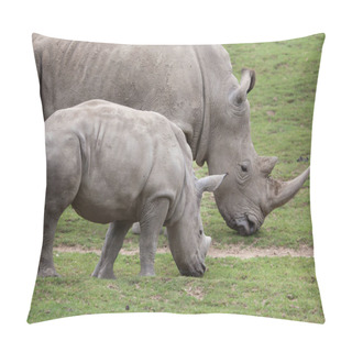 Personality  Southern White Rhinoceros (Ceratotherium Simum Simum). Female Rhino With Its Newborn Baby. Pillow Covers