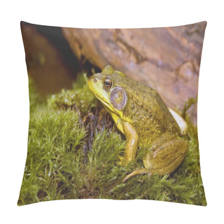 Personality  Bullfrog Pillow Covers