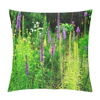 Personality  Liatris Flowers In The Garden On The Flowerbeds Against Backgrou Pillow Covers