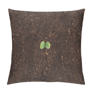 Personality  Top View Of Ground With Green Plant With Leaves, Protecting Nature Concept  Pillow Covers