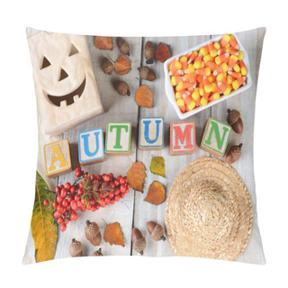 Personality  Blocks Spelling Out Autumn Pillow Covers